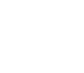 Speed Stick